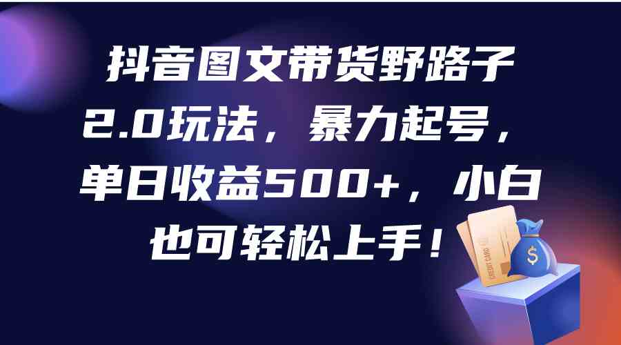 （9790期）抖音图文带货野路子2.0玩法，暴力起号，单日收益500+，小白也可轻松上手！-365资源网