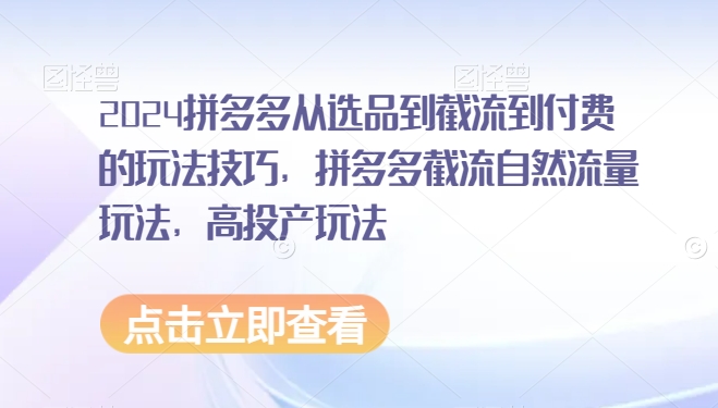 2024拼多多从选品到截流到付费的玩法技巧，拼多多截流自然流量玩法，高投产玩法-365资源网