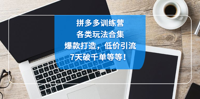 拼多多训练营：各玩法合集，爆款打造，低价引流，7天破千单等等！-365资源网