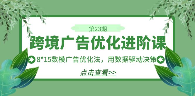 跨境广告·优化进阶课·第23期，8*15数模广告优化法，用数据驱动决策-365资源网