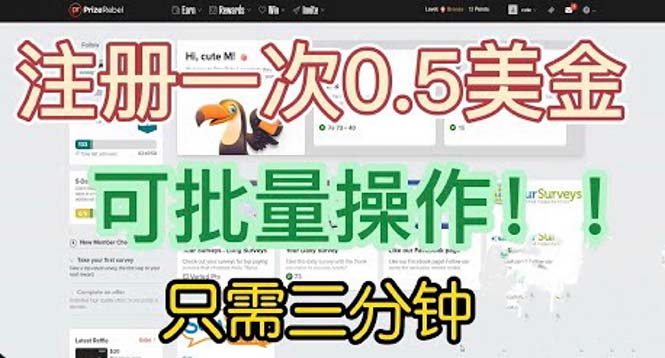 国外项目注册一次0.5美金 只需三分钟无脑操作 可批量放大 小白工作室福利-365资源网