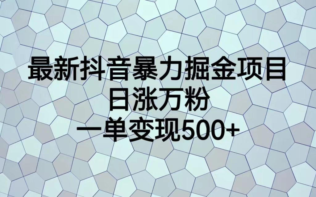 最新抖音暴力掘金项目，日涨万粉，一单变现500+-365资源网