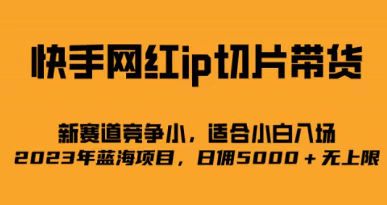 快手网红ip切片新赛道，竞争小事，适合小白 2023蓝海项目-365资源网