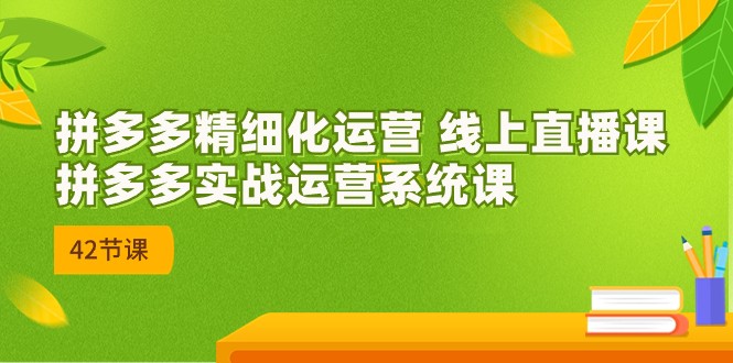 拼多多精细化运营 线上直播课：拼多多实战运营系统课（更新47节）-365资源网