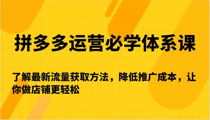 拼多多运营必学体系课-了解最新流量获取方法，降低推广成本，让你做店铺更轻松-365资源网