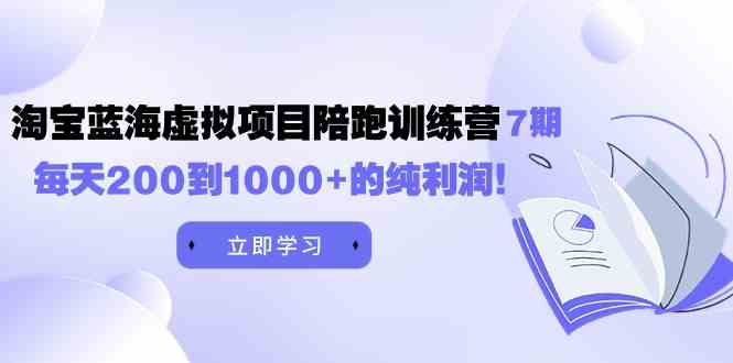 （9541期）黄岛主《淘宝蓝海虚拟项目陪跑训练营7期》每天200到1000+的纯利润-365资源网