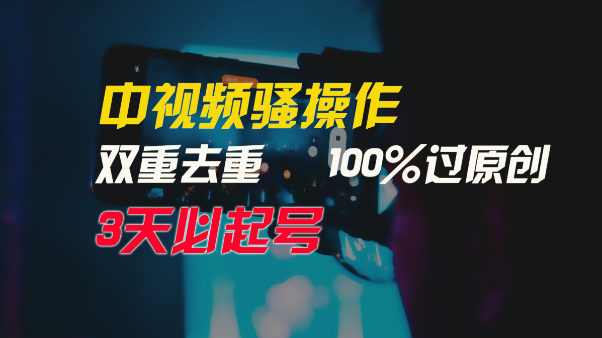 中视频骚操作，双重去重100%过原创，3天比必起号，简单无脑，月入3W+-365资源网