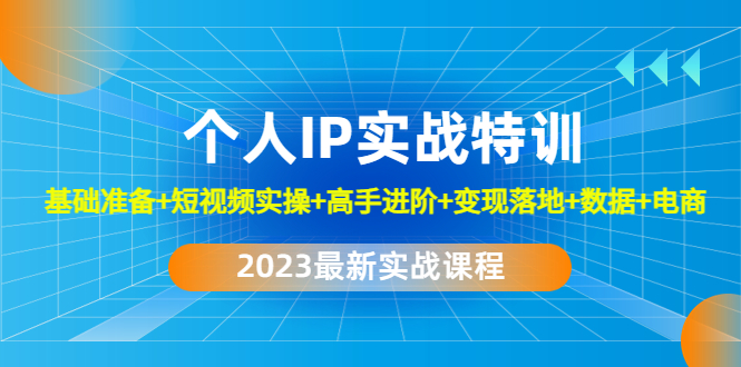 2023个人IP实战特训：基础准备+短视频实操+高手进阶+变现落地+数据+电商-365资源网