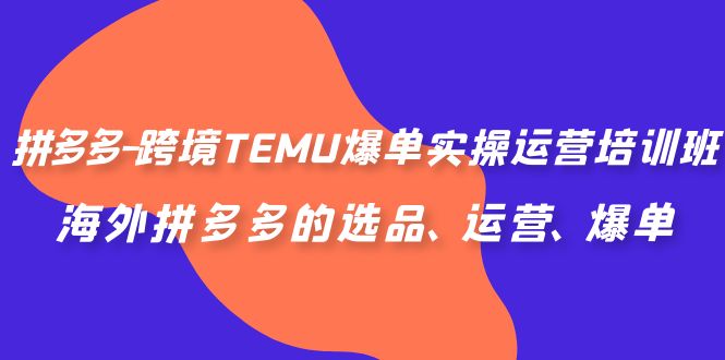 拼多多-跨境TEMU爆单实操运营培训班，海外拼多多的选品、运营、爆单-365资源网