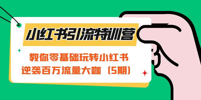 小红书引流特训营-第5期：教你零基础玩转小红书，逆袭百万流量大咖-365资源网