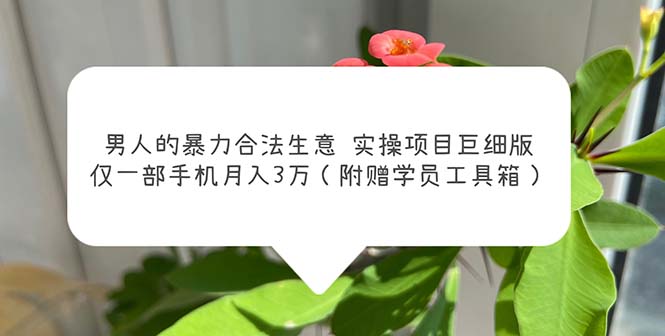 男人的暴力合法生意实操项目巨细版：仅一部手机月入3w（附赠学员工具箱）-365资源网