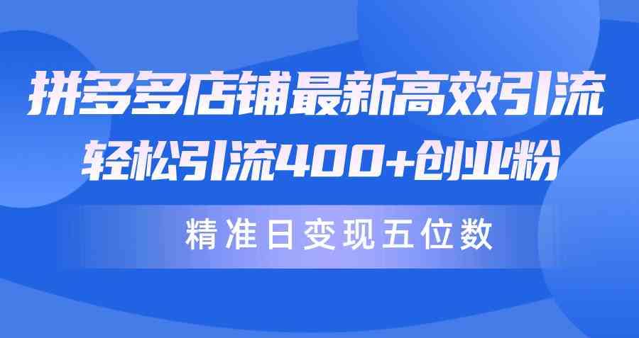 （10041期）拼多多店铺最新高效引流术，轻松引流400+创业粉，精准日变现五位数！-365资源网