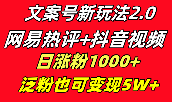 文案号新玩法 网易热评+抖音文案 一天涨粉1000+ 多种变现模式 泛粉也可变现-365资源网