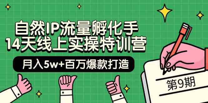 （9881期）自然IP流量孵化手 14天线上实操特训营【第9期】月入5w+百万爆款打造 (74节)-365资源网