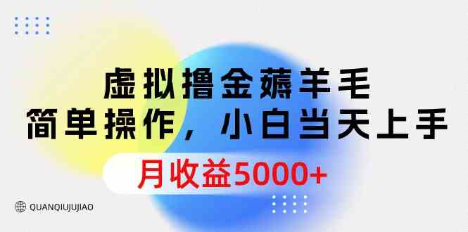 （9864期）虚拟撸金薅羊毛，简单操作，小白当天上手，月收益5000+-365资源网