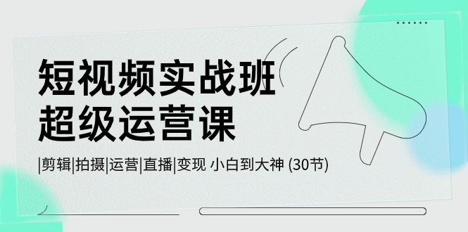 短视频实战班超级运营课 |剪辑|拍摄|运营|直播|变现 小白到大神 (30节)-365资源网