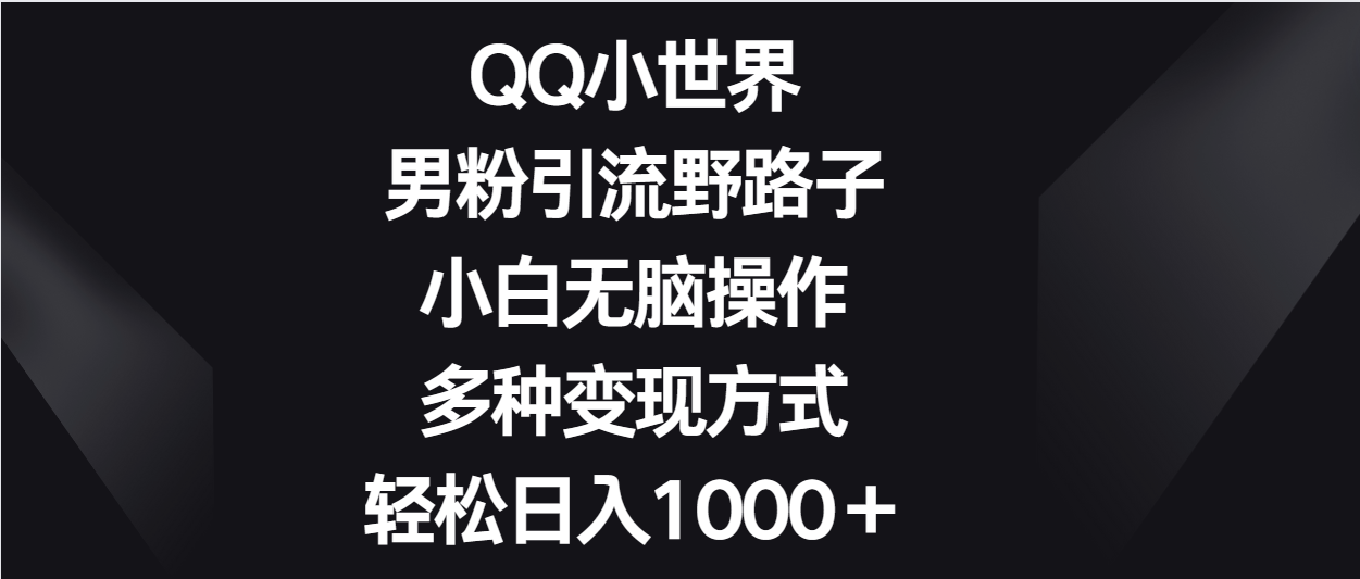 QQ小世界男粉引流野路子，小白无脑操作，多种变现方式轻松日入1000＋-365资源网