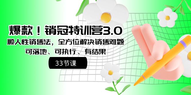 爆款！销冠特训营3.0之顺人性销售法，全方位解决销售难题、可落地-365资源网