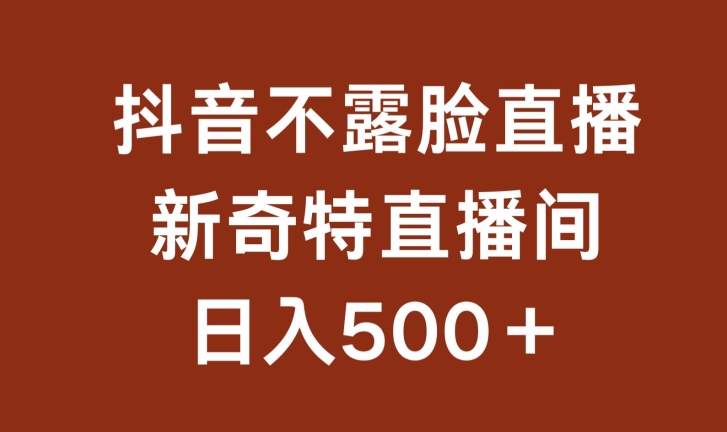 不露脸挂机直播，新奇特直播间，日入500+-365资源网