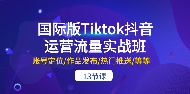 （10712期）国际版Tiktok抖音运营流量实战班：账号定位/作品发布/热门推送/等等-13节-365资源网