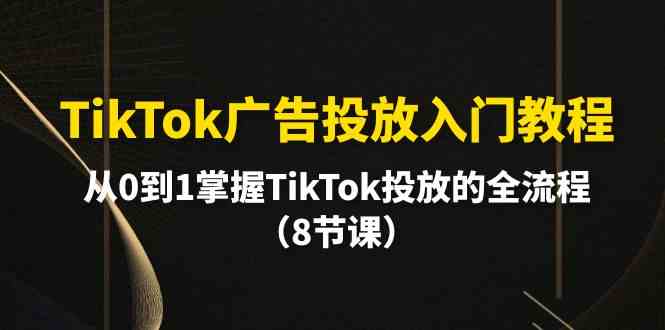 TikTok广告投放入门教程，从0到1掌握TikTok投放的全流程（8节课）-365资源网