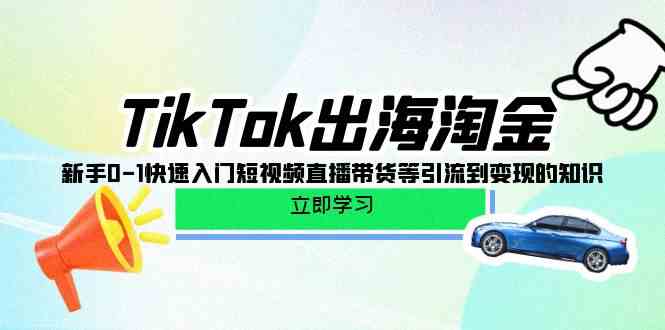 TikTok出海淘金，新手0-1快速入门短视频直播带货等引流到变现的知识-365资源网