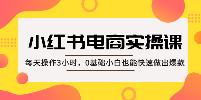 小红书·电商实操课：每天操作3小时，0基础小白也能快速做出爆款！-365资源网