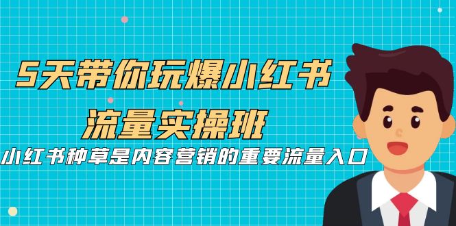 5天带你玩爆小红书流量实操班，小红书种草是内容营销的重要流量入口-365资源网