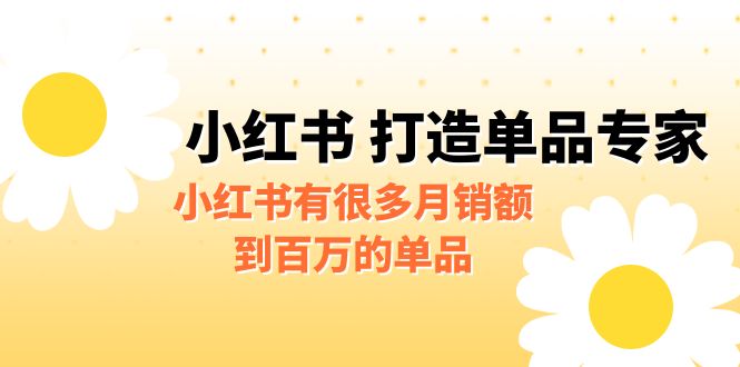 某公众号付费文章《小红书 打造单品专家》小红书有很多月销额到百万的单品-365资源网