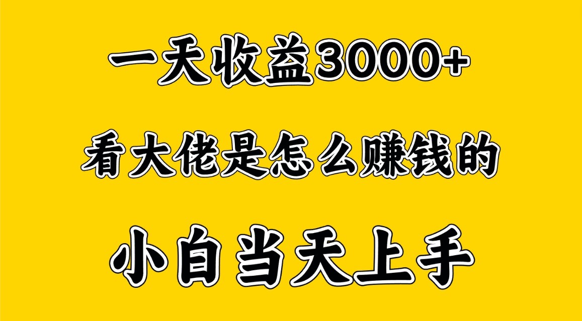 一天赚3000多，大佬是这样赚到钱的，小白当天上手，穷人翻身项目-365资源网