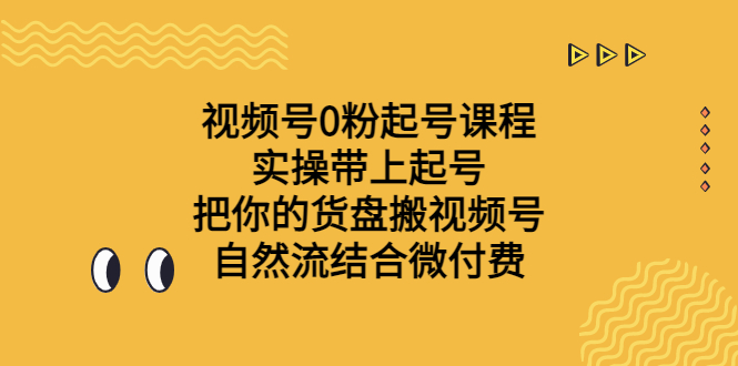 视频号0粉起号课程 实操带上起号 把你的货盘搬视频号 自然流结合微付费-365资源网