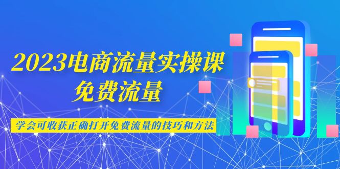 2023电商流量实操课-免费流量，学会可收获正确打开免费流量的技巧和方法-365资源网