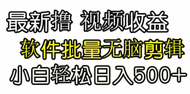 （9569期）发视频撸收益，软件无脑批量剪辑，第一天发第二天就有钱-365资源网