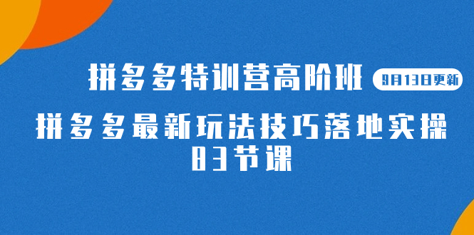 2023拼多多·特训营高阶班【9月19日更新】拼多多最新玩法技巧落地实操-83节-365资源网