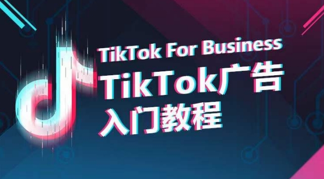 TikTok广告入门教程，从0到1掌握TikTok投放的全流程-365资源网