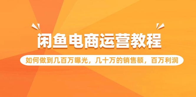 闲鱼电商运营教程：如何做到几百万曝光，几十万的销售额，百万利润-365资源网