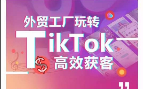 外贸工厂玩转TikTok高效获客，多种引流方式与账号定位技巧，拆解爆款短视频打造成功案例-365资源网