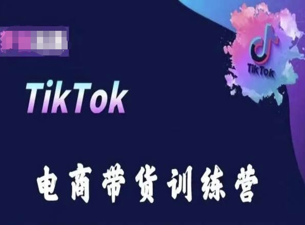 TikTok电商带货训练营，跟随时代潮流，跨境掘金-365资源网