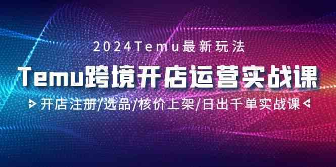 2024Temu跨境开店运营实战课，开店注册/选品/核价上架/日出千单实战课-365资源网