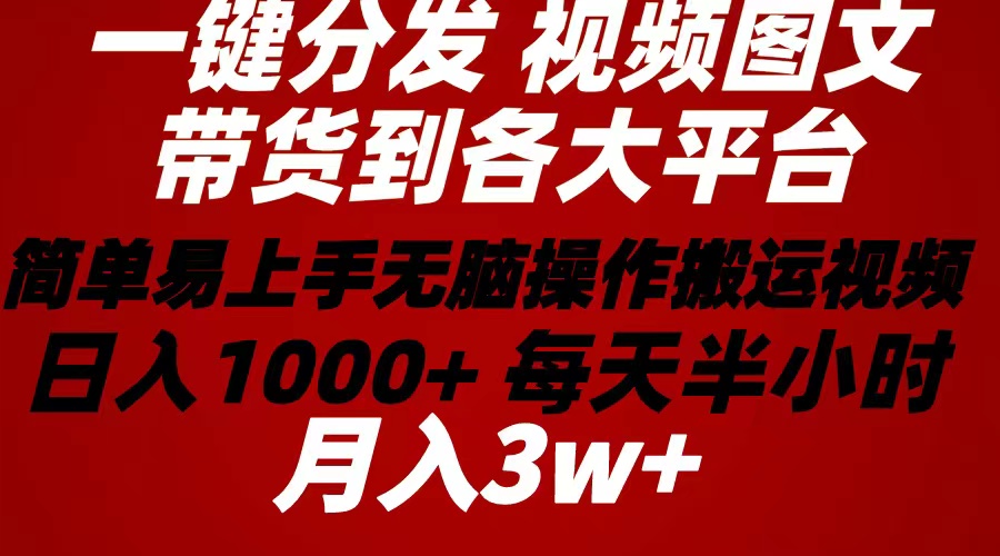 （10667期）2024年 一键分发带货图文视频  简单易上手 无脑赚收益 每天半小时日入1…-365资源网