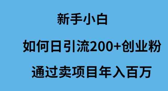 （9668期）新手小白如何日引流200+创业粉通过卖项目年入百万-365资源网