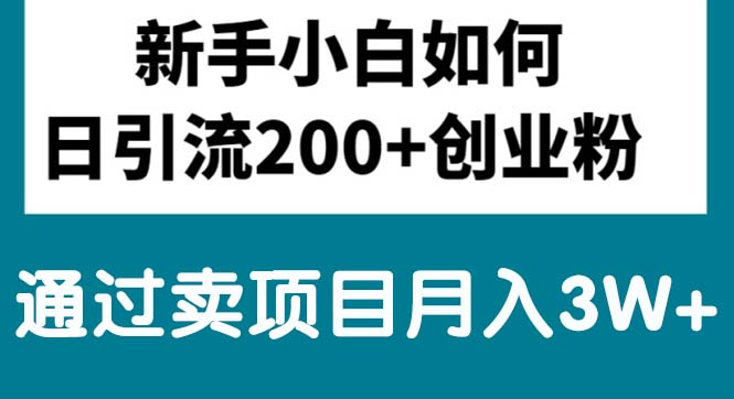 （10843期）新手小白日引流200+创业粉,通过卖项目月入3W+-365资源网