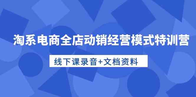 淘系电商全店动销经营模式特训营，线下课录音+文档资料-365资源网