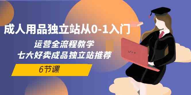 成人用品独立站从0-1入门，运营全流程教学，七大好卖成品独立站推荐（6节课）-365资源网