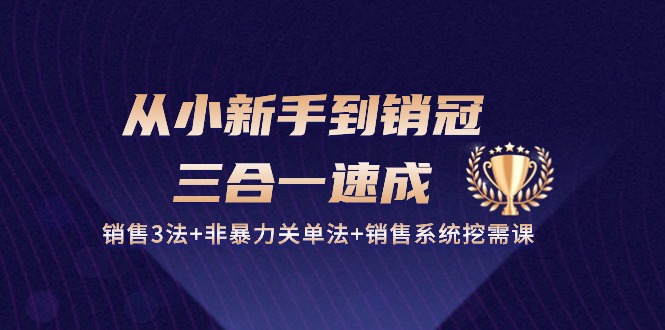 （10799期）从小新手到销冠 三合一速成：销售3法+非暴力关单法+销售系统挖需课 (27节)-365资源网