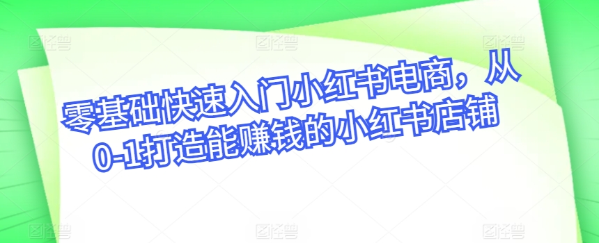 零基础快速入门小红书电商，从0-1打造能赚钱的小红书店铺-365资源网