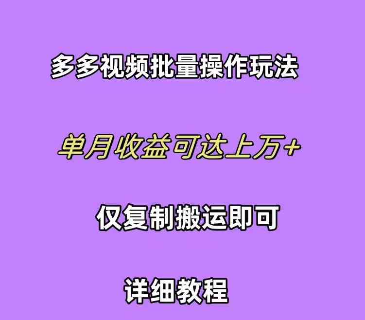 （10029期）拼多多视频带货快速过爆款选品教程 每天轻轻松松赚取三位数佣金 小白必…-365资源网