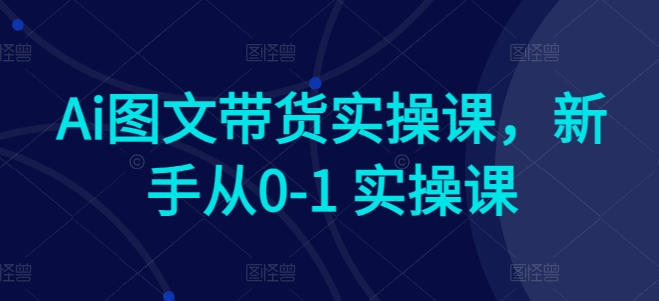 Ai图文带货实操课，新手从0-1 实操课-365资源网