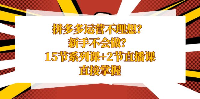 拼多多运营不理想？新手不会做？15节系列课+2节直播课，直接掌握-365资源网