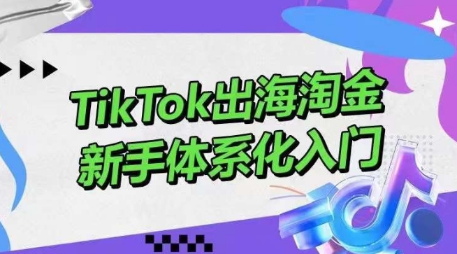 TikTok出海淘金，新手体系化入门，零基础快速入门，掌握短视频、直播带货等引流到变现的知识-365资源网